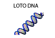 LotoDNA
