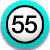 On Numara Top 55